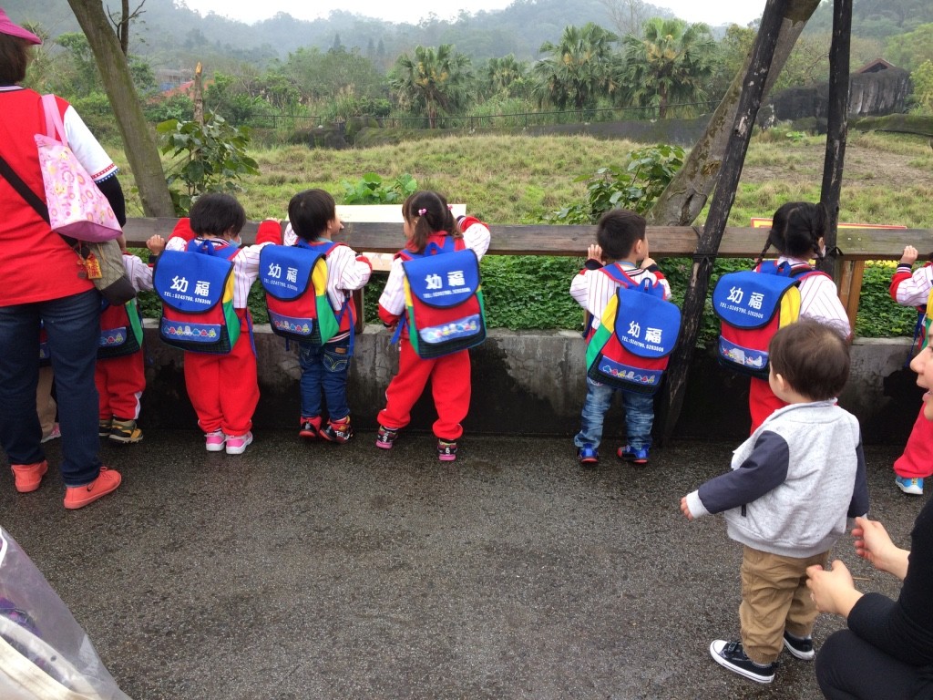 Nate watching the Taiwanese kids watching the giraffes. They all waved to him and said "ni hao" as they walked away in a line. He said "no hao" back to them