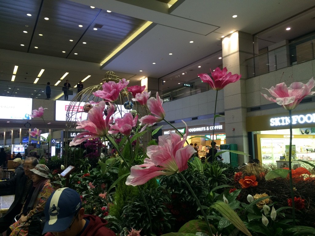 Incheon Airport - pretty flower display