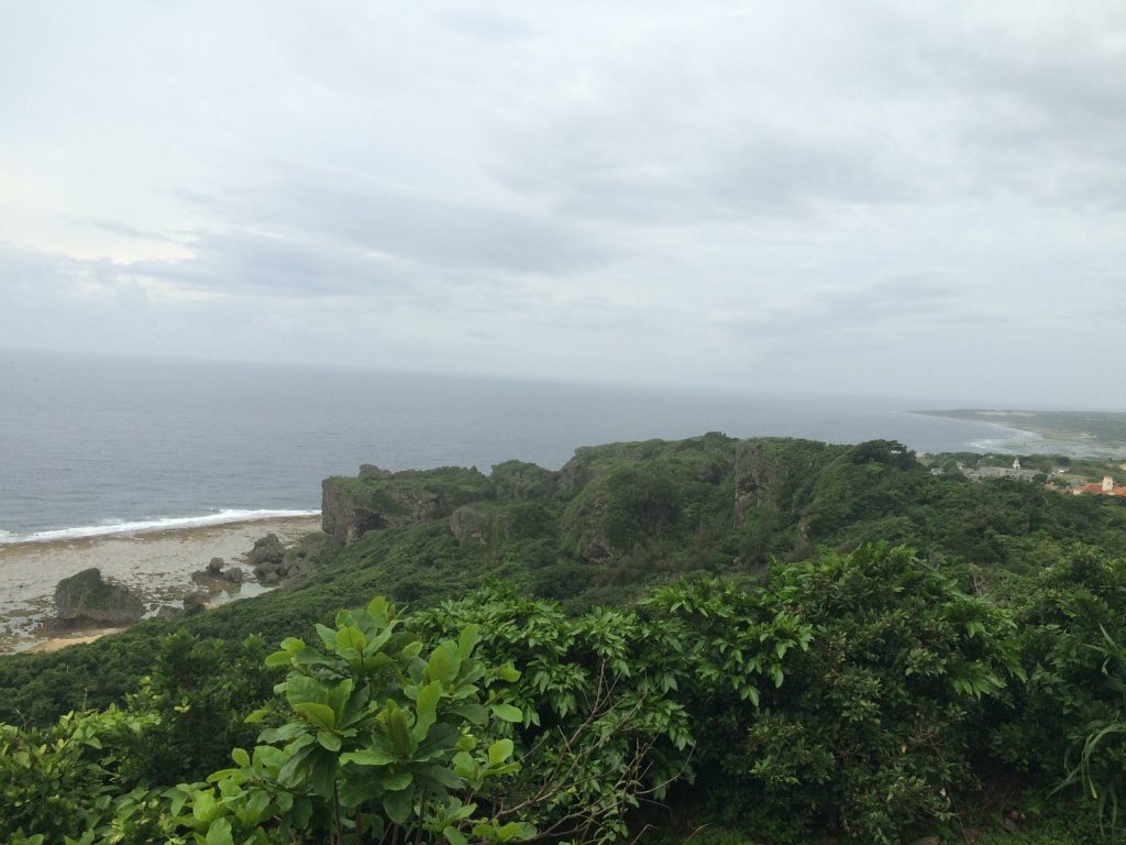 View from one of the observation points. It was extremely peaceful here. We weren't many people at the park, only a couple of school tours. 