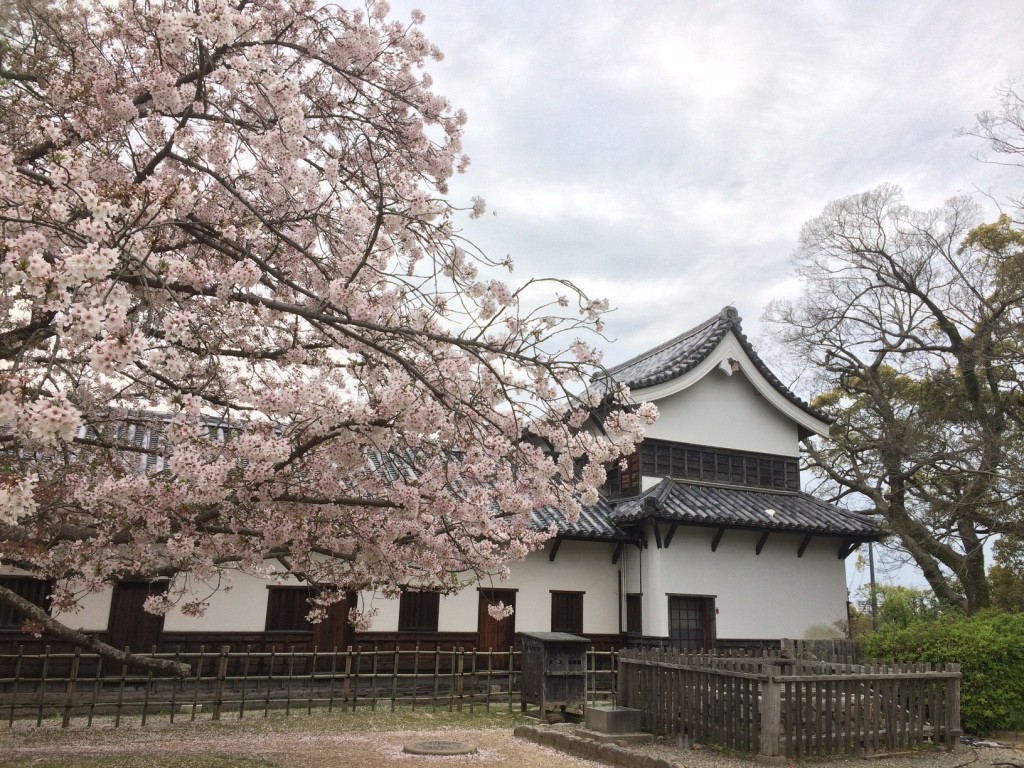 Fukuoka Castle ruins