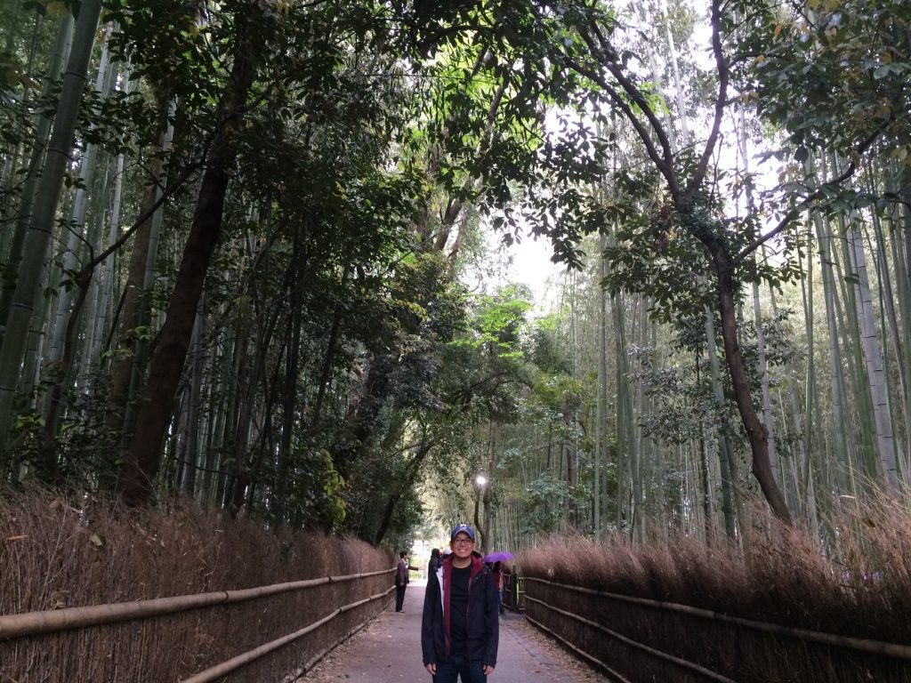 Only part of the pathway we could get a shot in, but it wasn't even all bamboo on both sides