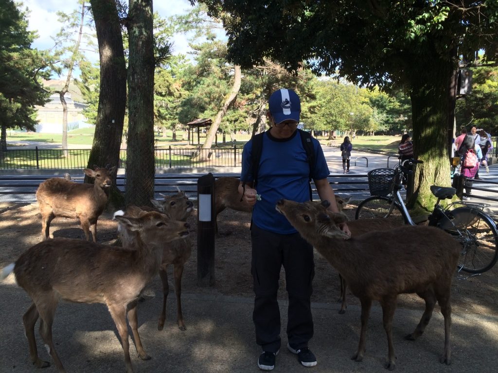 Tim feeding the deer was a much calmer and orderly experience