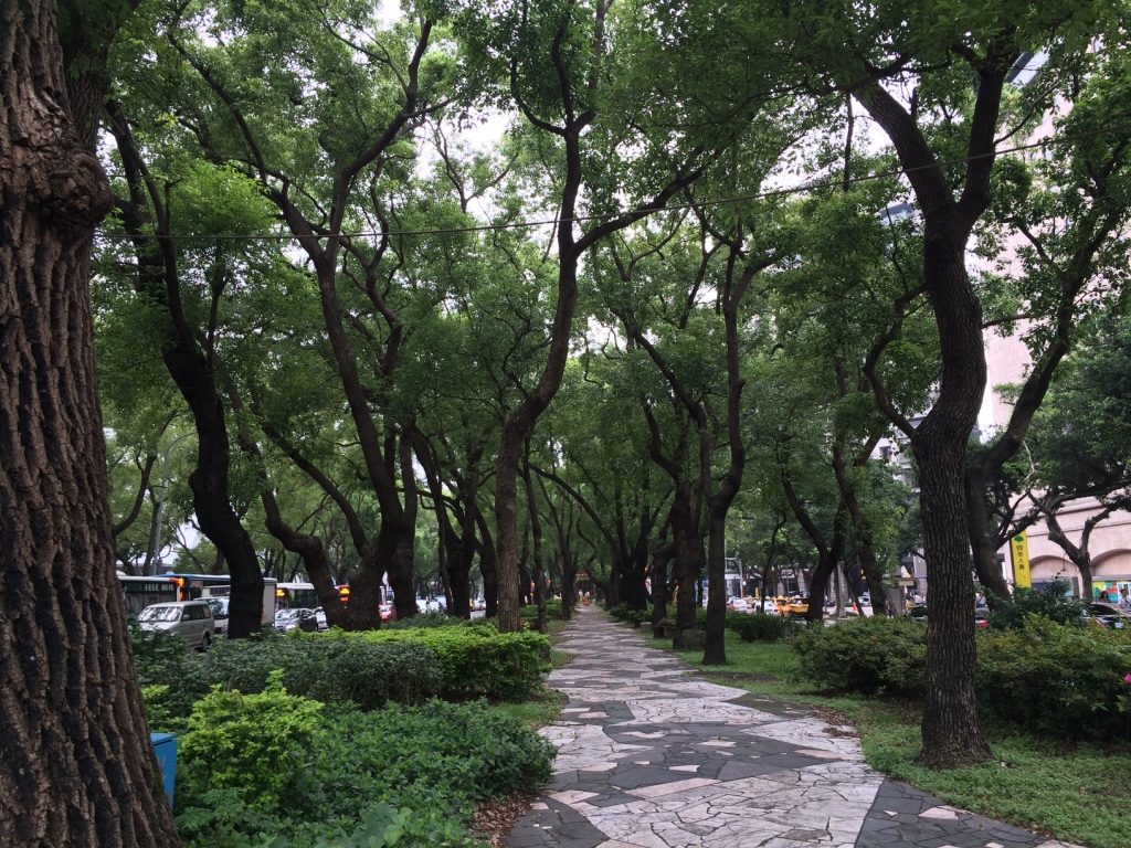 Dunhua boulevards are all tree lined