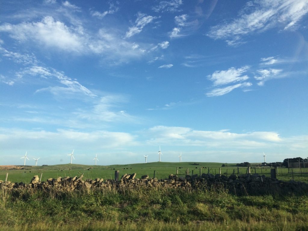 We saw wind turbines, cows and sheep along the way to Mount Gambier