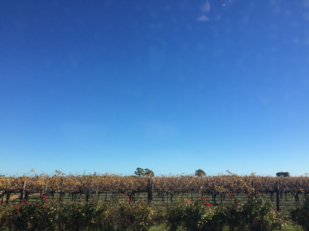 South Australia (Day 75): Mount Gambier & Adelaide