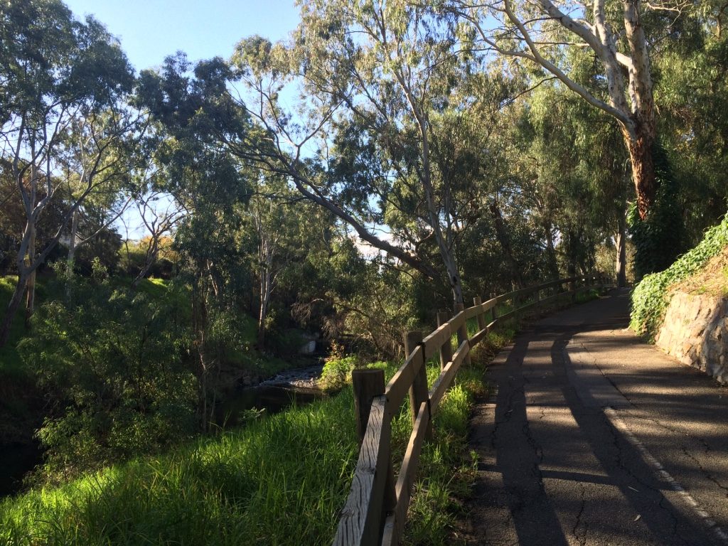 Walkway along the Torrens River