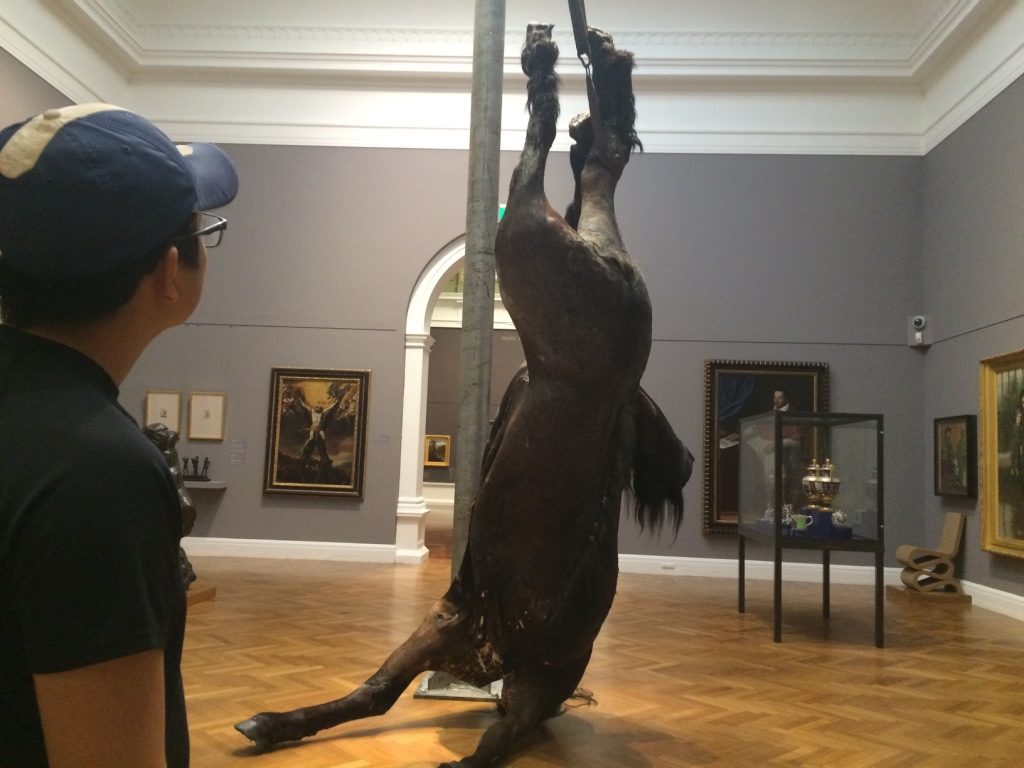Weird horse display inside the art museum