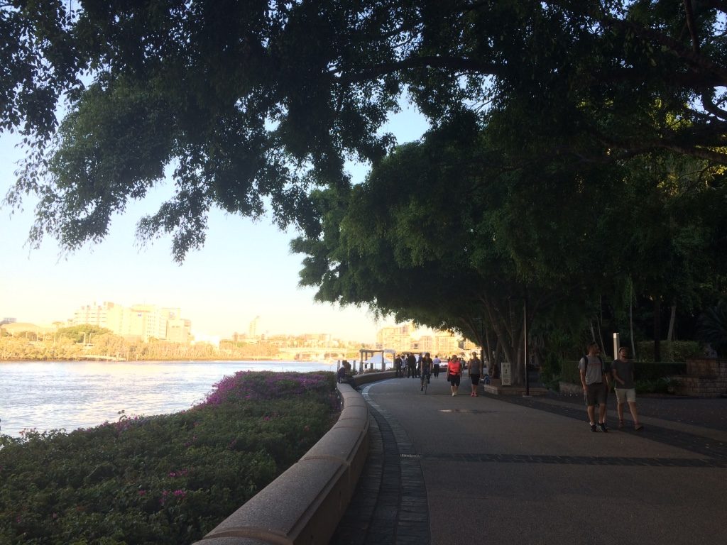 Walking along the south bank of the Brisbane River