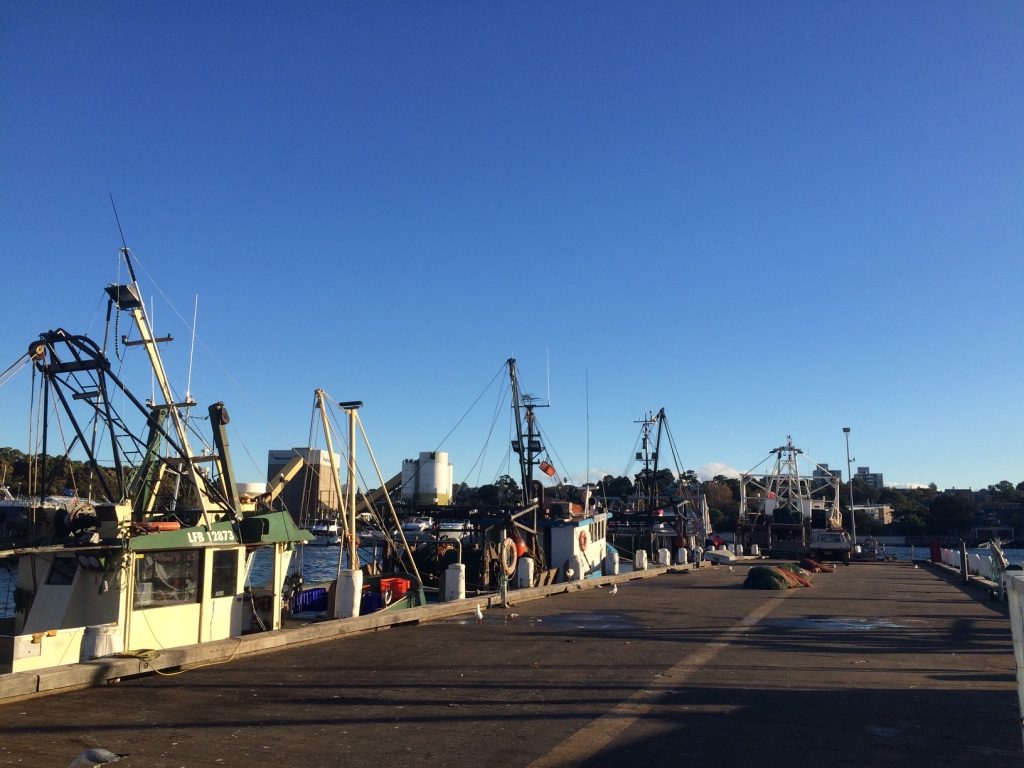 Fishing boats docked by the fish market