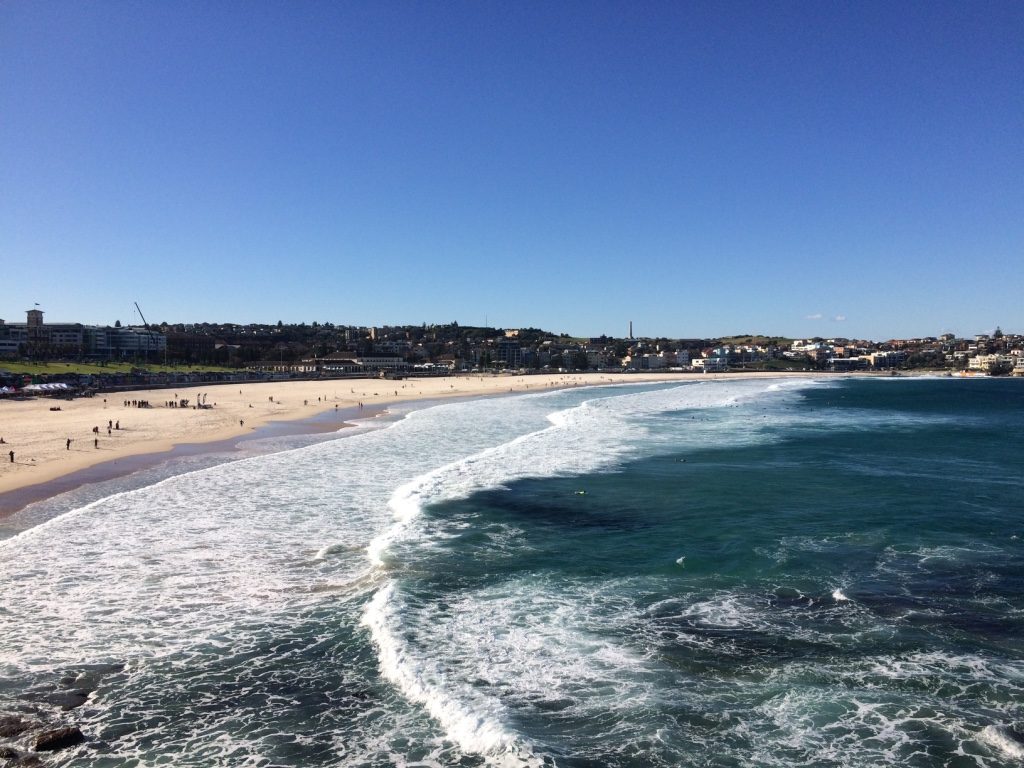 Bondi from the cliffs