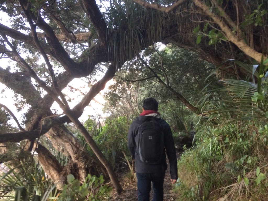 On the trail at Pauanui Beach