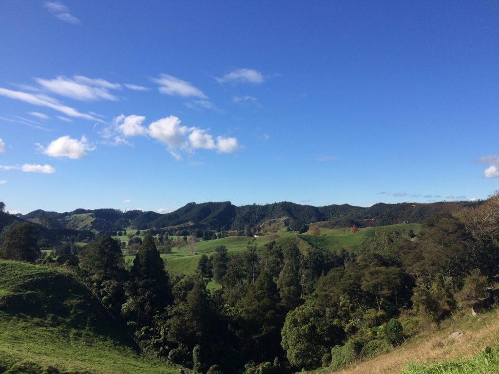 Beautiful views from the Waitomo view point 