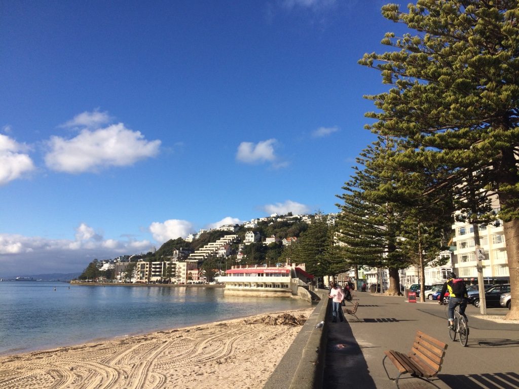 Wellington's seawall