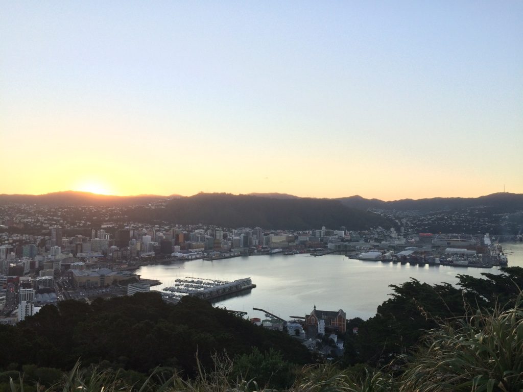 Wellington from Mt. Victoria