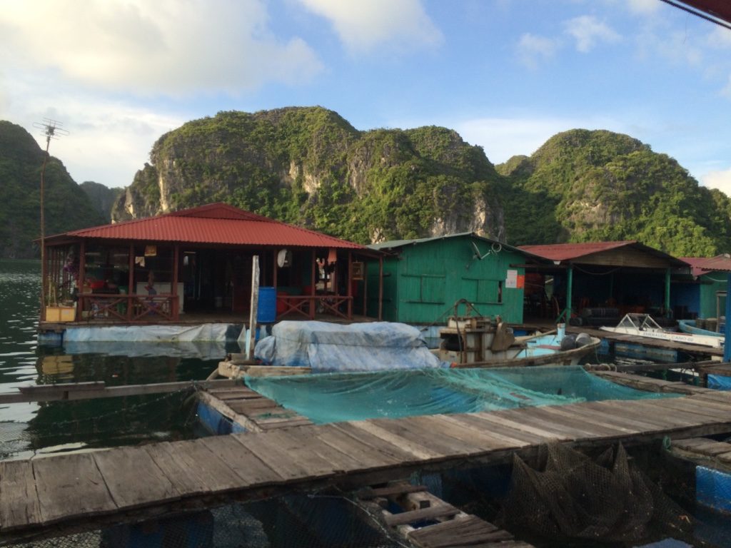 Halong Bay Pearl Farm