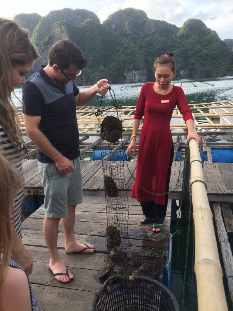 Guide showing us the different oysters and how long it takes to farm a pearl in each of them