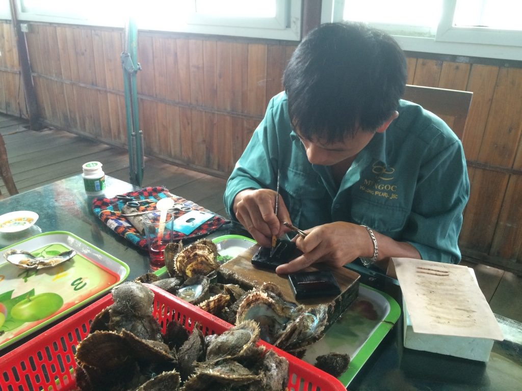 Cutting the membrane of the oyster