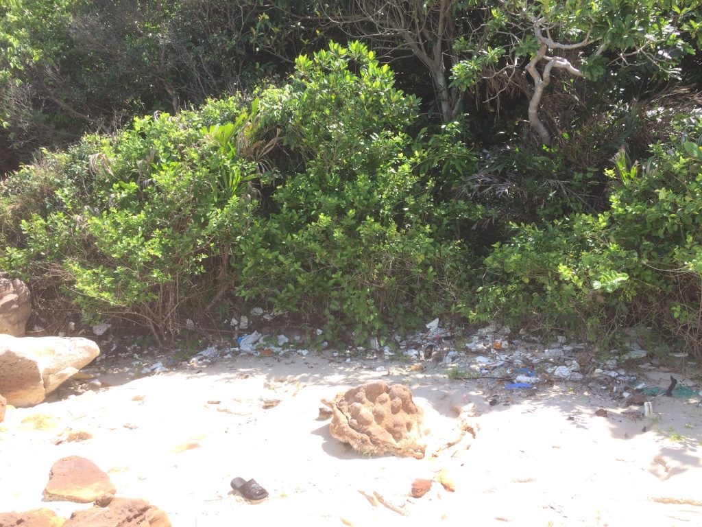 Lots of garbage washed up on shore (behind all the big rocks)